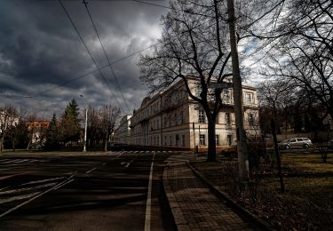 Excursión A pie Teplice - [Z] 3987 Okruh kolem Doubravky - Photo