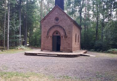 Excursión Senderismo Éguelshardt - Notre Dame des Bois - Photo