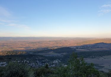 Trail Walking Moux - Le signal de  l'alaric - Photo