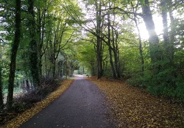 Trail Walking Sentheim - Lac Seigneurie Soultzbach - Photo