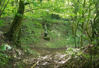 Randonnée A pied Plombières - Vieux Moulin - Photo