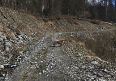 Excursión Senderismo Valloire - Barrage du Ley via les Choseaux et la rive droite de la Valoirette - Photo