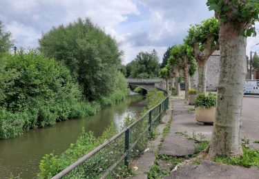 Trail Walking Wanze - moha promenade de la pierre - Photo