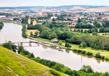 Percorso A piedi Villeneuve-sur-Yonne - Villeneuve Sur Yonne - Sens 32 km étape 1/3 - Photo