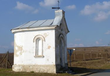 Percorso A piedi Pasohlávky - naučná stezka Věstonická nádrž - Photo