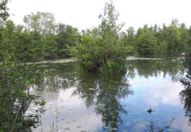 Tour Wandern Mareuil-Caubert - Au travers des étangs  - Photo