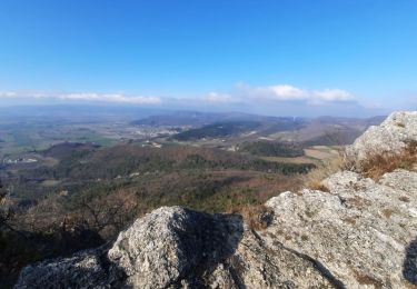 Trail Walking Manas - Manas-Pied Bazi-Ste Euphémie 6,5km - Photo