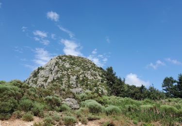 Trail Walking Saint-Martial - Le gerbier de jonc - Photo