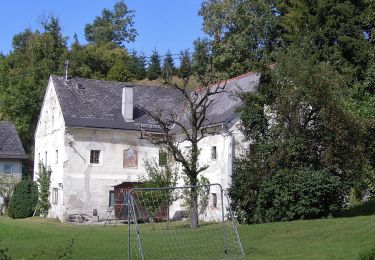 Tocht Te voet Garsten - Wanderweg 14 - Photo