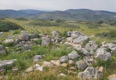 Trail On foot Emek HaMaayanot Regional Council - IL-3628 - Photo