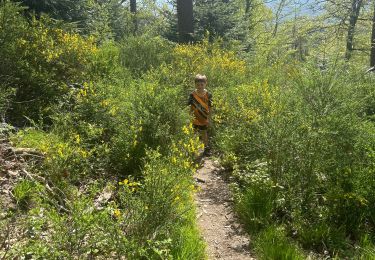 Trail sport Barr - Château landsberg barr  - Photo