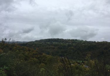 Trail Walking Sprimont - Fraiture Adeps 2019 - Photo