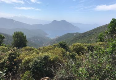 Excursión Senderismo Osani - Girolata - Bocca di fuata - Photo