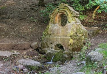 Excursión A pie Leányfalu - S+ (Dobos-hegy - Szentendre, Kéki kőbánya - Álló-rét) - Photo