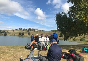 Trail Walking Orcival - La banne d’ordanche - Photo