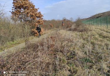 Randonnée Marche Wittenheim - Richwilller - Photo