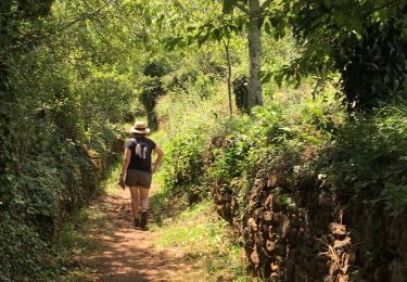 Tour Wandern Montréal - Ardèche Montréal - Photo