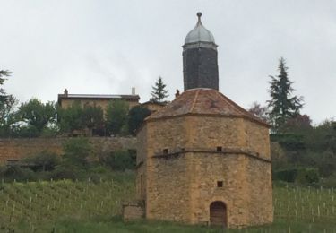 Tocht Stappen Bagnols - Bagnols (rando. village) 16 km - D. 383 m) du 28/04/2019 - Photo