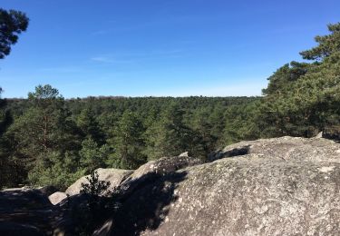 Excursión Senderismo Fontainebleau - Fontainebleau, Gorges du Houx et Gorges de Franchard - Photo