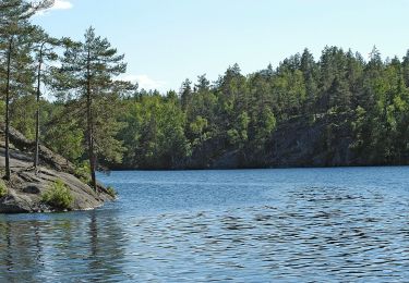 Tour Zu Fuß Espoo - Reitti 8.6 km - Photo