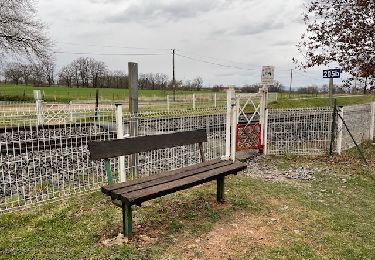 Trail Walking Parigny - Parigny-Petite balade  - Photo