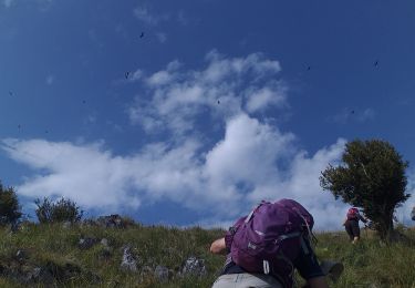 Trail Walking Sarrance - troneduroyfait - Photo