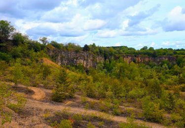 Tocht Stappen Saints-Geosmes - Boucle 18 km incluant Cohons et la source de la Marne - Photo