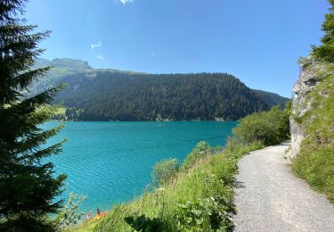 Tour Wandern Beaufort - Lac des fées  - Photo