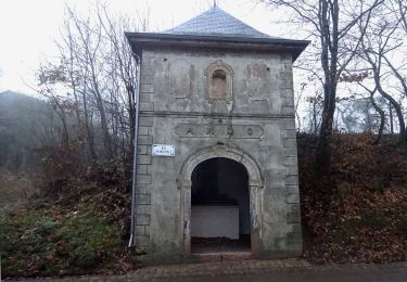 Trail On foot Redange-sur-Attert - Fleche Bleu Redange-Ospern - Photo