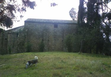 Randonnée A pied Calonge i Sant Antoni - SL-C 27 Puig ses Forques - Photo