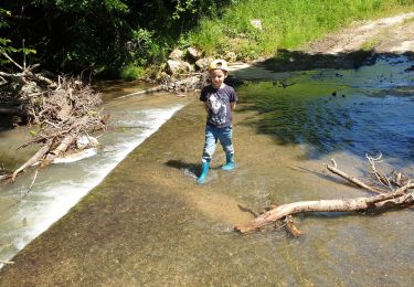 Excursión Senderismo Cassagnabère-Tournas - CASSAGNABERE MONDINE 31 avec Baptiste 6 ans - Photo