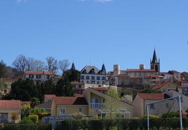 Trail Walking Mur-sur-Allier - Mezel-Dallet - Photo