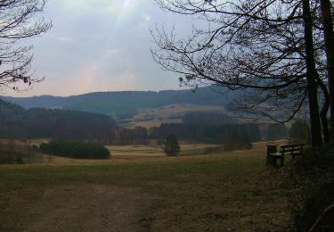 Tocht Te voet Pottenstein - Püttlach-Hohenmirsbach - Photo