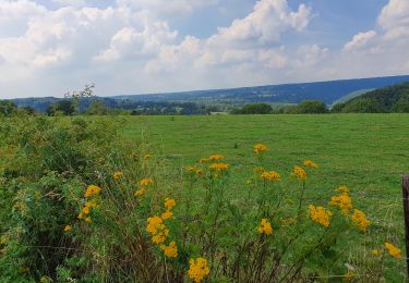Trail On foot Esneux - promenade en campagne de Fontin (Esneux) - Photo