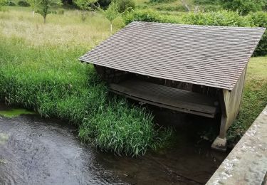 Tocht Stappen La Trinité-de-Réville - la trinite de Reville  - Photo