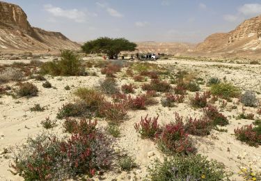 Excursión A pie מועצה אזורית ערבה תיכונה - IL-17431 - Photo