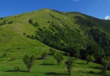 Excursión Senderismo Breil-sur-Roya - Mangiabo - Photo