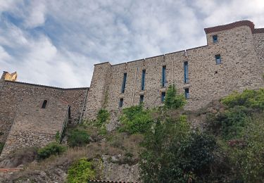 Tour Wandern Bélesta - tour du pic aubeill  - Photo