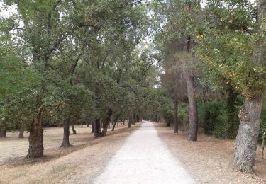 Trail Walking Le Boulou - Le boulou - Saint Jean pla de corts via le lac  - Photo
