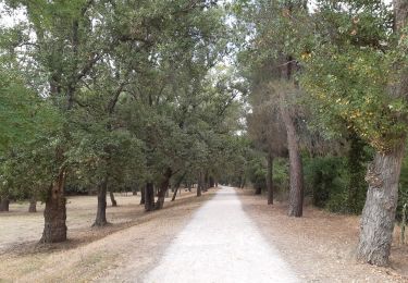 Percorso Marcia Le Boulou - Le boulou - Saint Jean pla de corts via le lac  - Photo