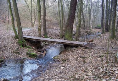 Randonnée A pied Černolice - NS Putování Černolickem - Photo