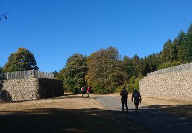 Tocht Stappen Saint-Léger-sous-Beuvray - 190920-Morvan-3 - Photo