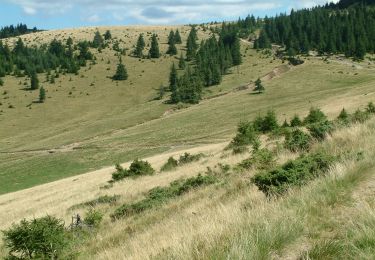 Tour Zu Fuß  - Pietroasa-Stâncile lui Hercules-Șaua Bohodei - Photo