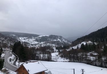 Tour Wandern Ventron - Ventron boucle rouge - Photo