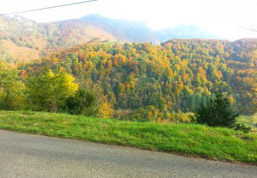 Tocht Te voet Lescun - Tour du Belvédère asp47 - Photo