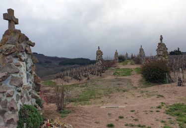 Excursión Senderismo Villié-Morgon - sr joseph villa Morgon  - Photo