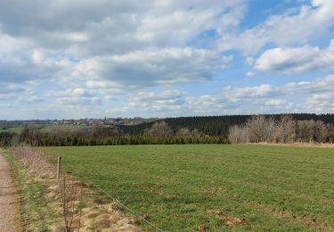 Randonnée Marche Bullange - Enkelbergermühle - Photo