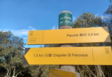 Trail Walking Oraison - ORAISON . CHAPELLE S PANCRACE . LES BUISSONADES N - Photo