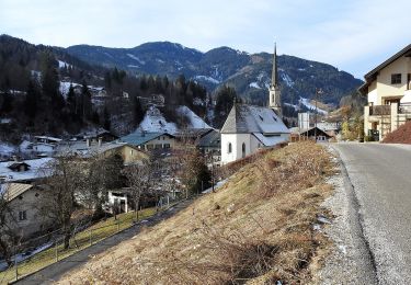 Tour Zu Fuß Mühlbach am Hochkönig - Mühlbach-Pronebenalm-Karbachalm - Photo