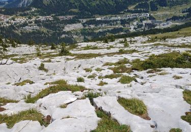 Percorso Marcia Magland - belvédère d Aulp - Photo